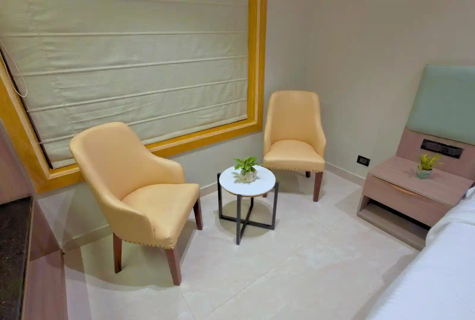 Golden Bagh Luxury Room Living Seating