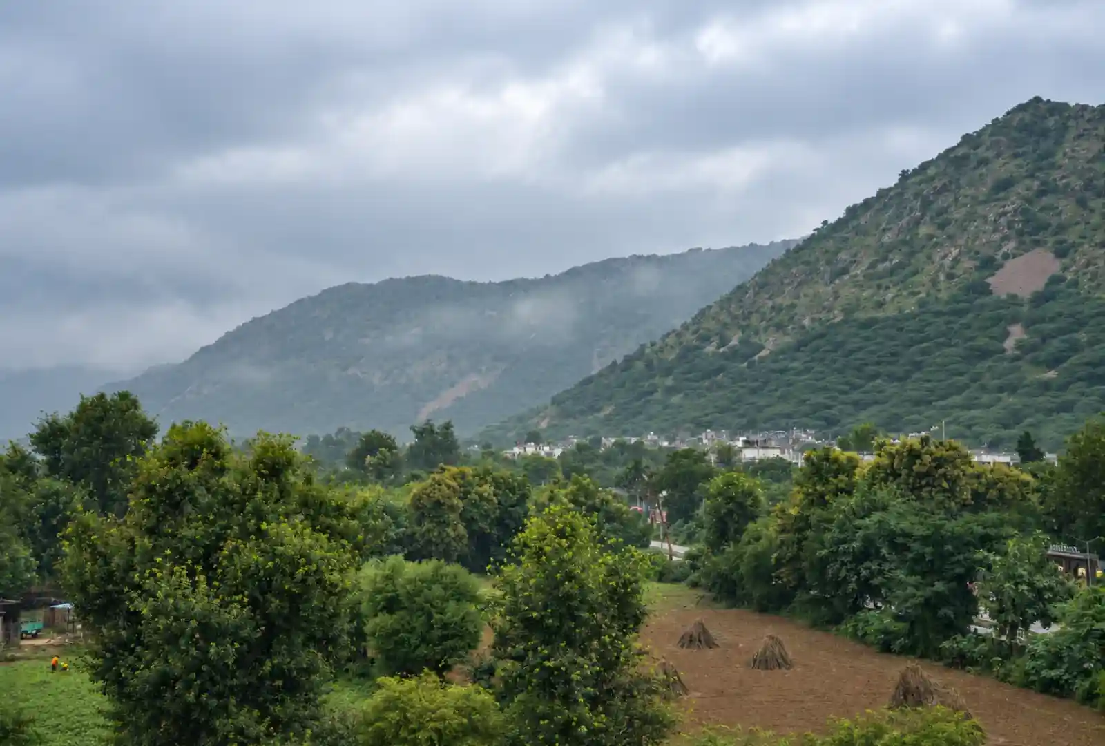 Sariska Nature & Aravalli Scenery - Golden Bagh Alwar